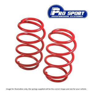 Prosport 50mm Lowering Spring Kit for Peugeot 206 CC 1.6 16V