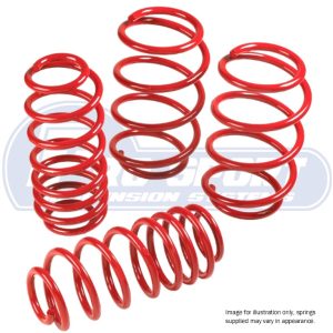 Prosport 25/40mm Lowering Spring Kit for Ford Transit Connect Mk2 1.0 1.6 2.5 1.5D 1.6D